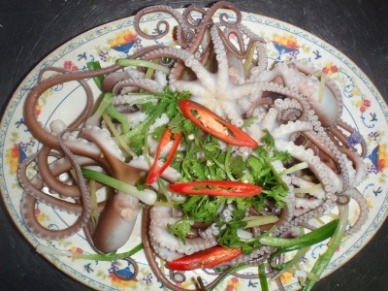 Thị trường bạch tuộc Thái Lan tháng 22013