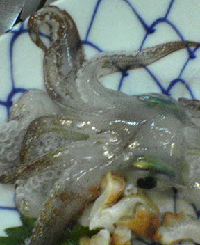 Thị trường mực ống Thái Lan tháng 82013