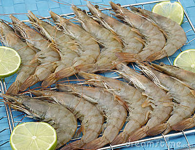 Nhập khẩu tôm vào Mỹ năm 2011