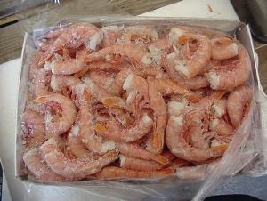 Xuất khẩu tôm của Argentina T1-T102013