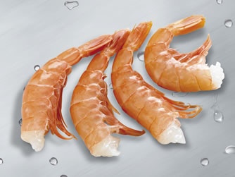 Xuất khẩu tôm của Argentina, T1-T42013