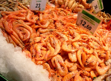 Nhập khẩu tôm đông lạnh vào EU, T1-T52013