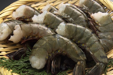 Thị trường tôm EU, tháng 1- 72012