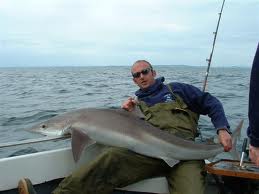 Thị trường cá ngừ Tây Ban Nha tuần 7