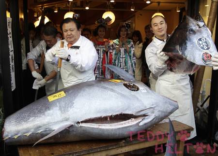 Thị trường cá ngừ tươi và đông lạnh Nhật Bản tháng 42012