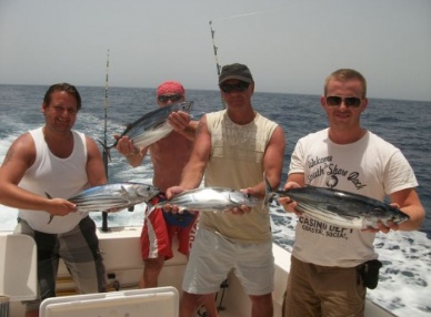 Thị trường cá ngừ Tây Ban Nha tuần 10 (4 – 1032013)