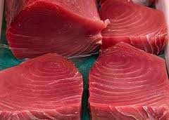 Thị trường cá ngừ Tây Ban Nha tuần 15 (8 – 1442013)