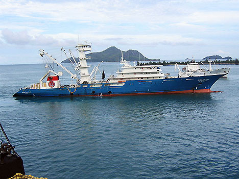 Thị trường cá ngừ Tây Ban Nha tuần 25(18 – 2462012)