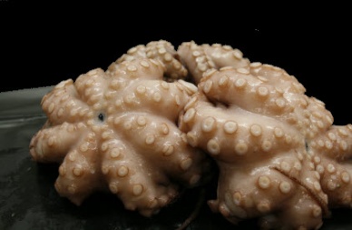 Thị trường bạch tuộc Mỹ tháng 102012