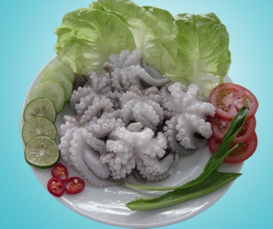 Thị trường bạch tuộc Mỹ tháng 22013