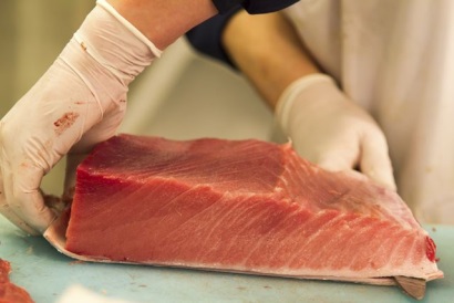 Xuất khẩu cá ngừ sang Mỹ tăng trở lại