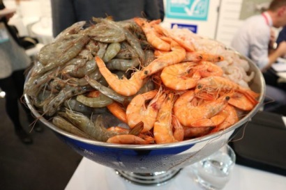 Siam Canadian Group Tồn kho tôm trên thị trường Mỹ còn nhiều