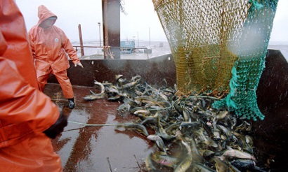 Nga cải tiến hệ thống quản lý thủy sản nhằm chống lại IUU 