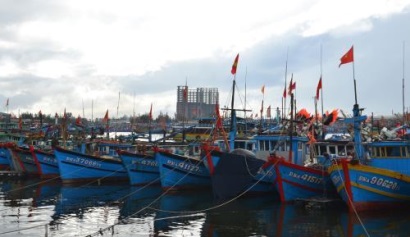 Công bố 9 cảng cá đủ hệ thống xác nhận nguồn gốc thủy sản khai thác