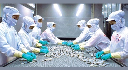 ĐHĐCĐ Thủy sản Minh Phú Đặt mục tiêu lãi ròng 2017 tăng gấp 10 lần