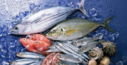 Doanh nghiệp thủy sản kỳ vọng quý IV lãi lớn, đẩy mạnh chiến lược mở rộng