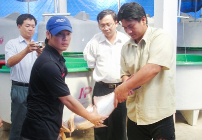 Bến Tre Giá cá tra nguyên liệu tăng cao