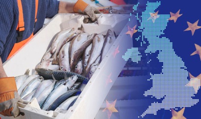 Thuế quan đối với thương mại cá trong trường hợp “Brexit  không thỏa thuận”