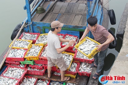 Ông Trần Đình Nam - Shatico Formosa phải có trách nhiệm với doanh nghiệp