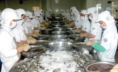 Cà Mau Xuất khẩu thuỷ sản thêm một năm “lỡ hẹn”