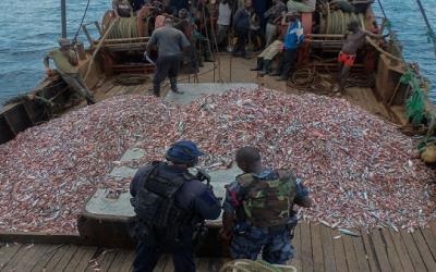 Khai thác bất hợp pháp ảnh hưởng tới tương lai nghề cá