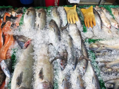 Các tổ chức phi chính phủ kêu gọi NOAA tăng cường các tiêu chuẩn nhập khẩu thủy sản