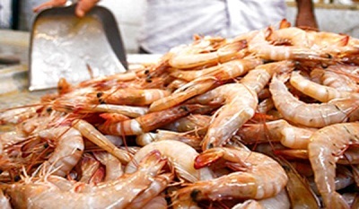 Trung Quốc Nhập khẩu tôm tăng trong tháng 52020