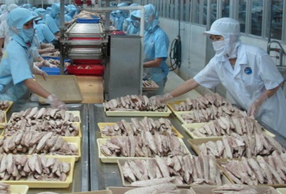 Xuất khẩu cá ngừ chuyển dịch sang Châu Á và Trung Đông