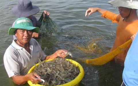 hướng dẫn xác nhận thiên tai, dịch bệnh để xác định sự kiện bảo hiểm trong thực hiện chính sách hỗ trợ bảo hiểm nông nghiệp