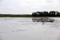 Kiên Giang Giải pháp phát triển bền vững mô hình lúa – tôm