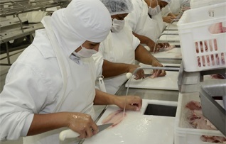 Brazil Công ty GeneSeas mở rộng sản xuất cá rô phi