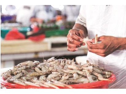 Ấn Độ Giá tôm giảm do nhu cầu từ Mỹ trầm lắng