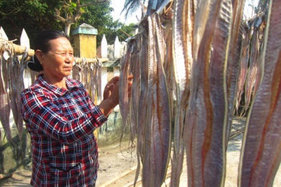 Ngư dân Quảng Nam trúng đậm cá hố