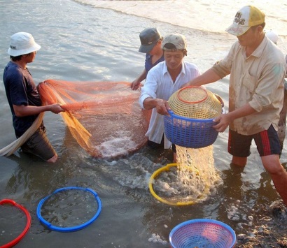 Long An Nuôi tôm bằng công nghệ nano bạc