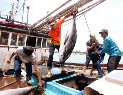 Quảng Ngãi Khai thác xa bờ, chìa khóa để nâng hiệu quả và sản lượng