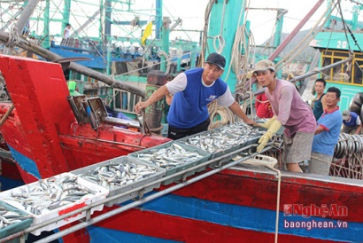 Nghệ An Ngư dân trúng lộc biển đầu năm mới