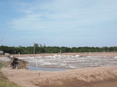 Trà Vinh Năm 2017 Hướng đến mô hình nuôi thủy sản an toàn, hiệu quả