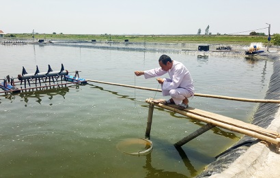 Quảng Ninh Nghề nuôi cua biển ở Quảng Yên cho hiệu quả kinh tế cao