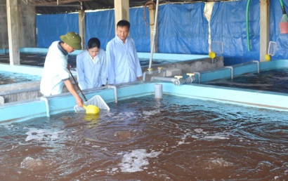 Cần giám sát chặt chẽ con giống thủy sản