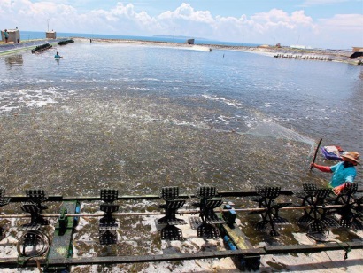 Doanh nghiệp tư nhân Đắc Lộc Biểu tượng khát vọng vươn lên của doanh nghiệp Phú Yên