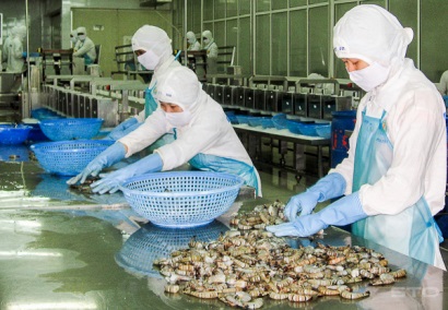 Tiêu chuẩn nào cho thủy sản Việt Nam