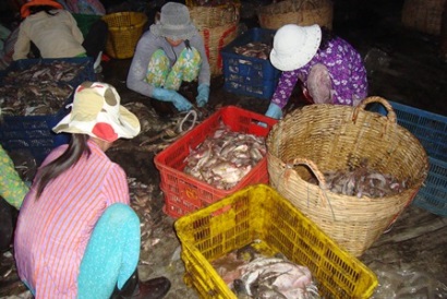 Bà Rịa - Vũng Tàu Tổng sản lượng nuôi trồng thủy sản trên địa bàn tăng 8,89% so với cùng kỳ