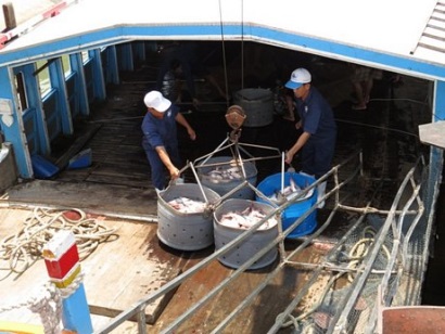 Đồng Tháp Giá cá tra tăng, giá cá sặc rằn giảm mạnh