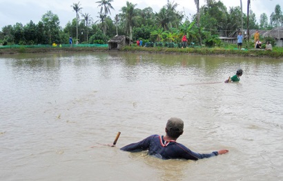 Nuôi tôm công nghiệp có dấu hiệu phục hồi