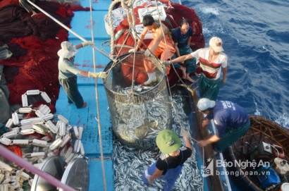 Sản lượng đánh bắt thủy sản ở Nghệ An tăng 11,68%