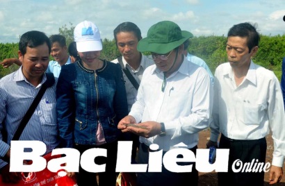 Bạc Liêu Nhân rộng mô hình nuôi tôm thẻ siêu thâm canh ứng dụng công nghệ cao quy mô nhỏ