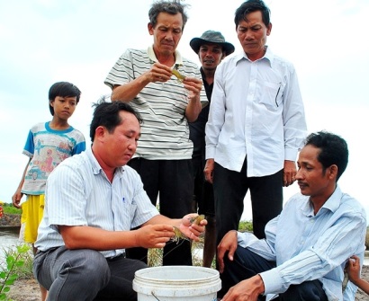 Thí điểm nuôi tôm theo quy hoạch ở chín xã điểm Cà Mau