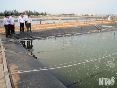 Ninh Thuận Giải pháp ổn định vùng nuôi trồng thủy sản