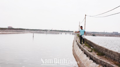 Đầu tư phát triển sản xuất ngao giống