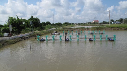 Nhà điện tiếp sức nhà nông nuôi tôm